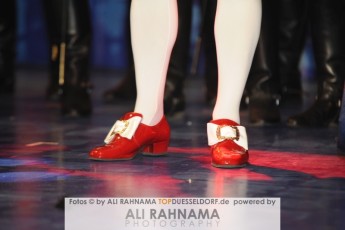 cc_fernsehsitzung_13012017_326